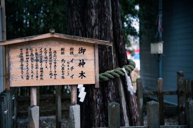 湯倉神社のその他のポイント