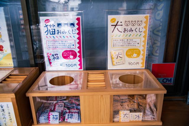 実はその他にもおみくじが沢山ある