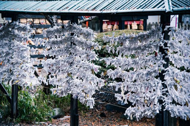 湯倉神社のその他のポイント