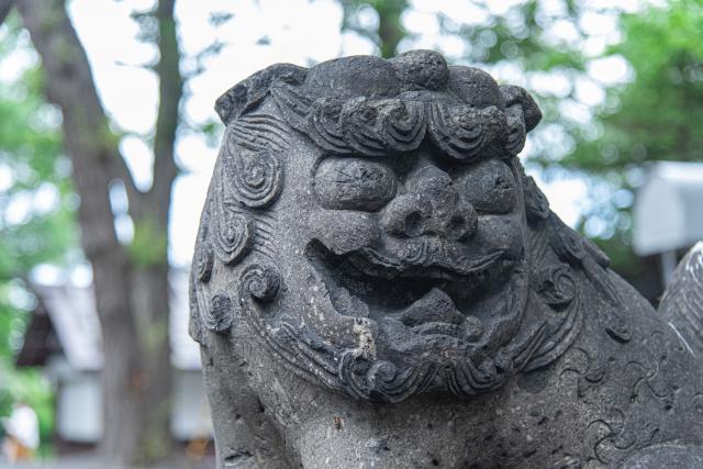 手稲神社の狛犬