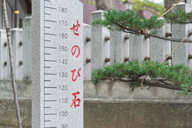 手稲神社のせのび石