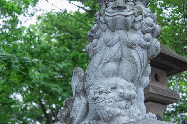 手稲神社の狛犬