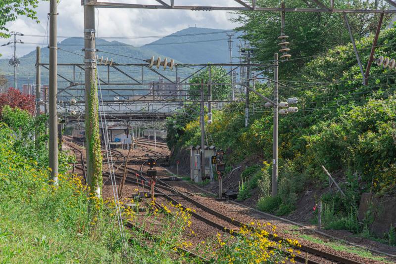 竜宮神社から見た線路のある素敵な風景