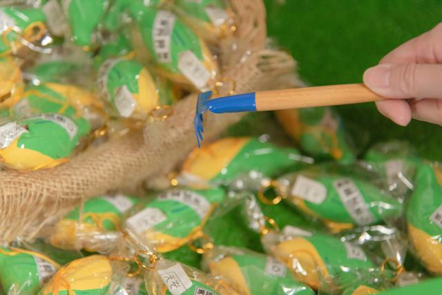 美瑛神社で引ける、富諸来し(とみもろこし)